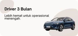 3 Bulan